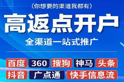 案例对比：SEO与SEM优化效果深度分析