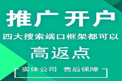 sem运营公司：效果为王的策略